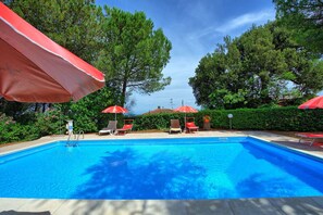 Garden, Outdoor, Pool
