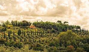 Building Exterior, Outdoor, Scenic View