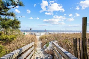 Pathway to the beach