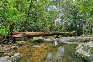 The rear creek boundary is the spring-fed headwaters of Chinaman’s Creek. You can even take a plunge into Slippery's waterhole.