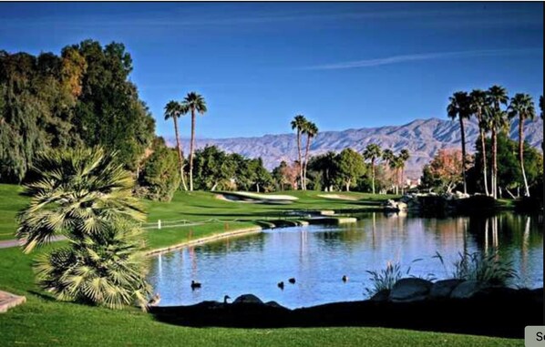 Golf Course
