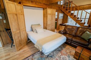 Murphy bed (full size) in the living room.