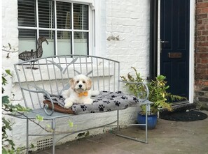 Dogs Welcome