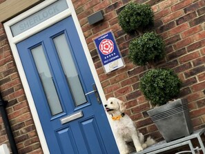 Come On In