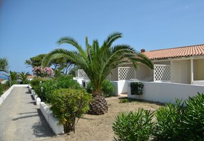 Trädgård