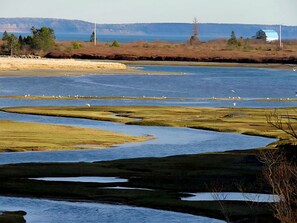 Typical scene at Sunrise, birds settling  in at low tide.