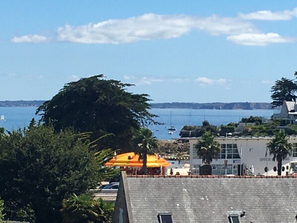 Beach/ocean view