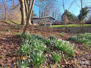 Boendeområde