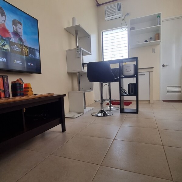 Television