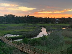 Beautiful Marsh view from balcony