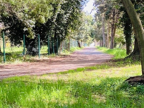 Terrenos do alojamento