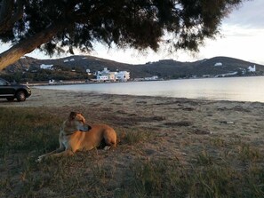 Strand