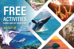 Palms at Wailea 1706 Free Activities S3