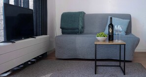 The sofa bed as sofa.