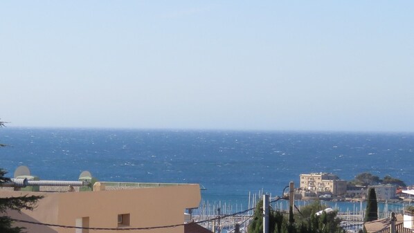 Beach/ocean view