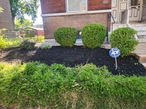 Front yard