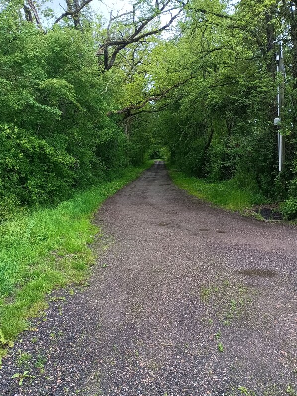Ulkoalueet