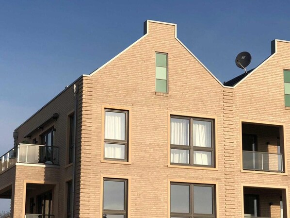 Exteriör