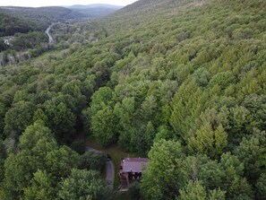 Situated hillside under a canopy of trees