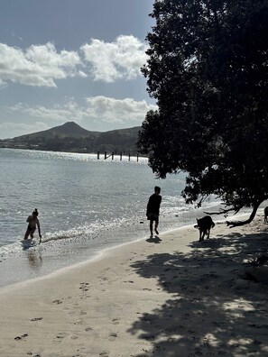 Ōmāpere wharf, the kids love jumping off it!