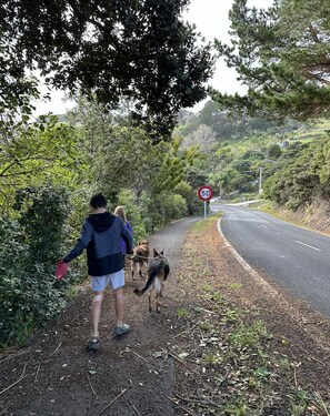 5 minutes walk to beach
