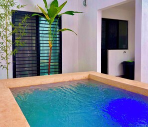 Indoor spa tub