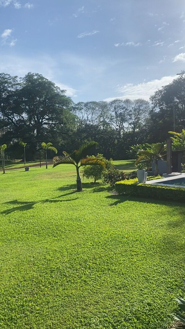 Property grounds