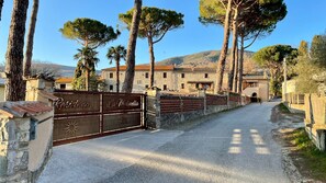 Enchanting tree lined drive to the private gates of La Molinella complex.