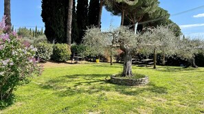 Large gardens for relaxing and enjoying outdoor picnics and BBQ