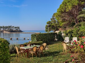 Plant, Water, Sky, Property, Furniture, Table, Natural Landscape, Tree, Flower, Chair