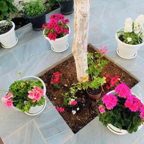 Terrass/Patio