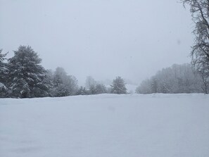 Winter Wonderlan