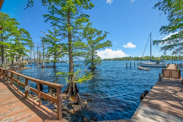 View from back deck