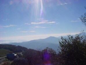 View from back deck