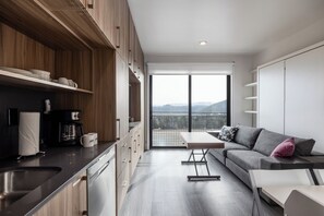 A kitchenette with all the essentials, smart tv, sofa and 2 Murphy beds.