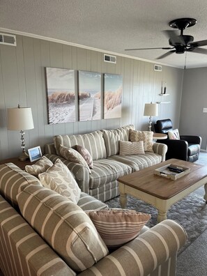 Newly furnished living room
