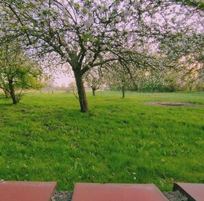 Boendeområde