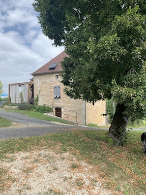 Exteriör