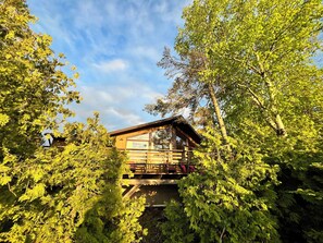 Silver Birch Cottage peeking through the trees, a hidden gem in the forest offering peace and privacy.