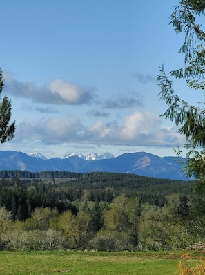 Olympic mountains