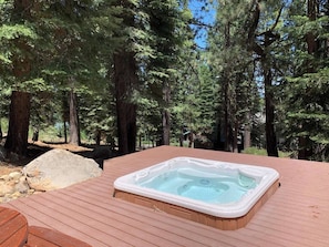 Many guests consider our Hot Tub in the forest a highlight of their stay. (Hot tub is optional - additional fee) Set it at 80 for a refreshing cool dip or soothe aching muscles at 104. In winter, it's often surrounded by a cathedral of snow.
