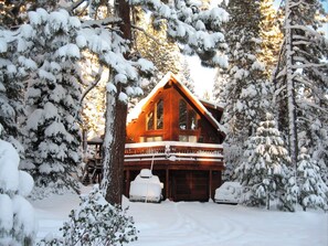 Snowy Treehouse Chalet with snow and sun