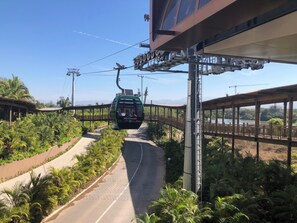 Gondola around park and to amusement park
























