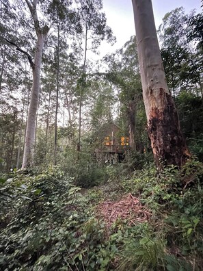 Boendeområde