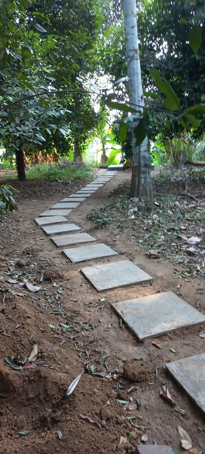 Pathway on the grounds