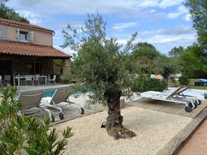 Terrass/Patio