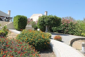 The garden