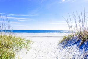 Playa