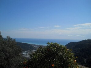 Rum