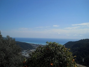 Blick von grosser Terrasse